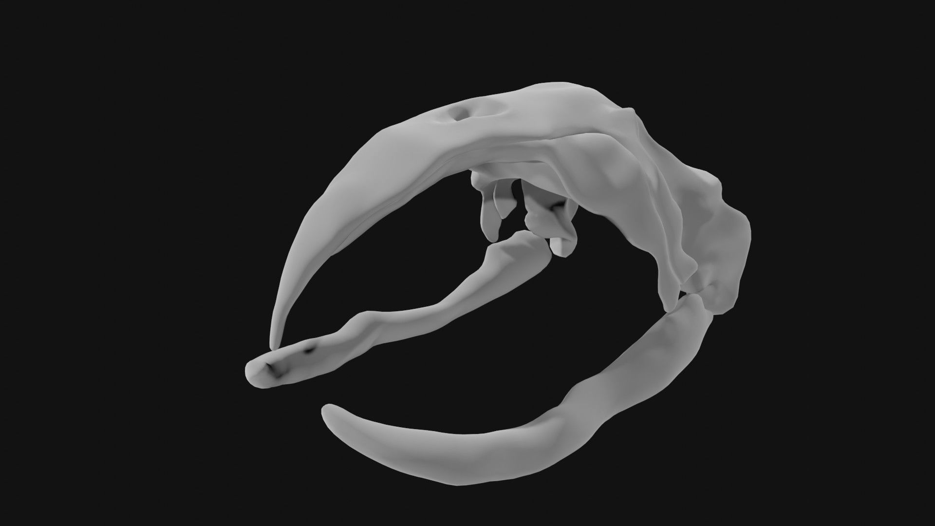 Bowhead Whale Skull 3D model_5