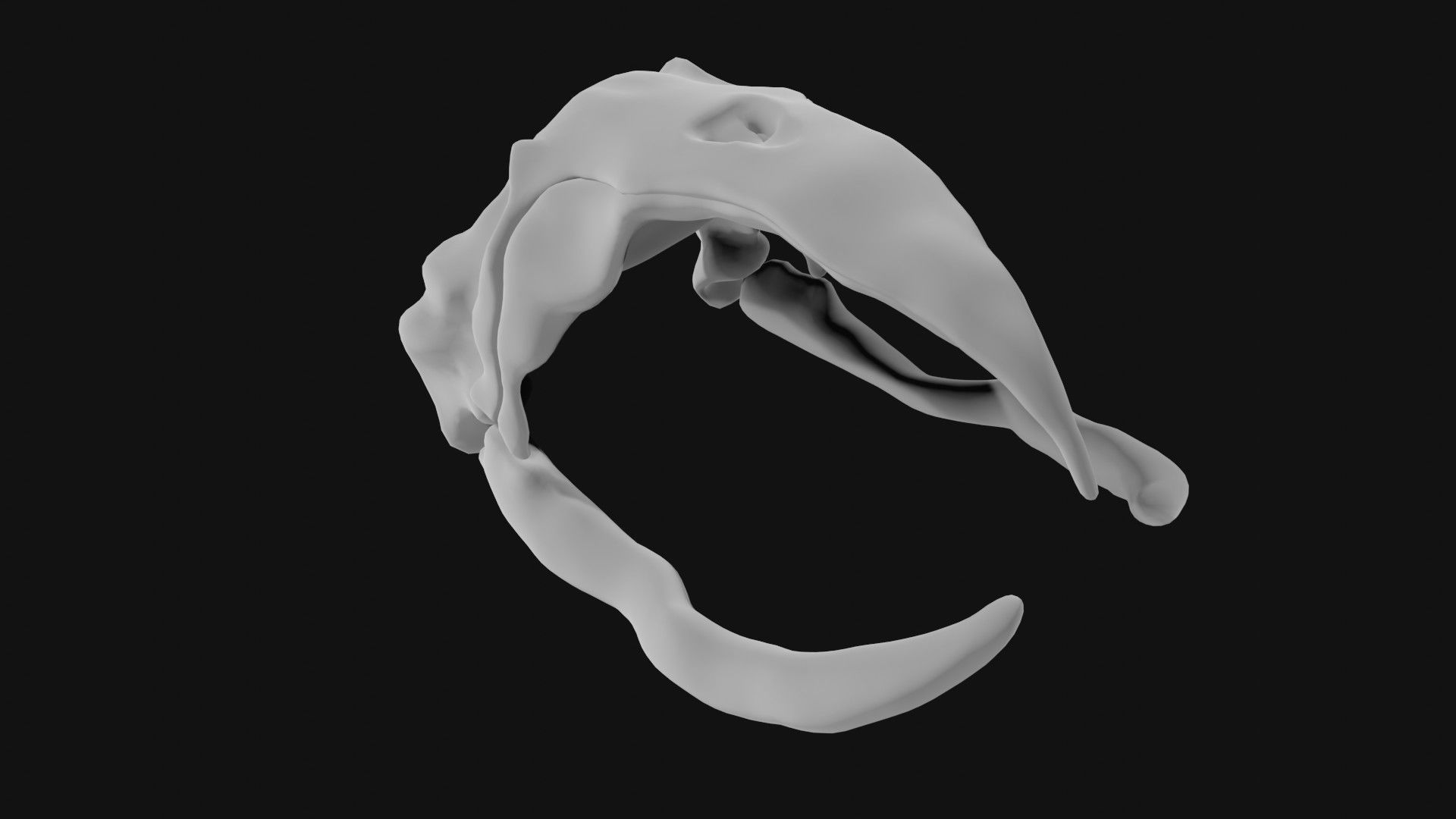Bowhead Whale Skull 3D model_4