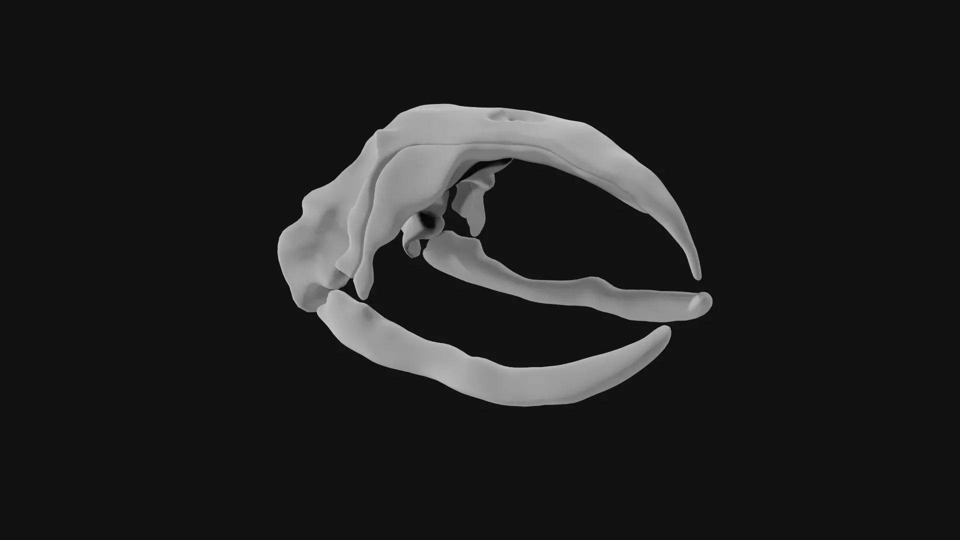 Bowhead Whale Skull 3D model_0