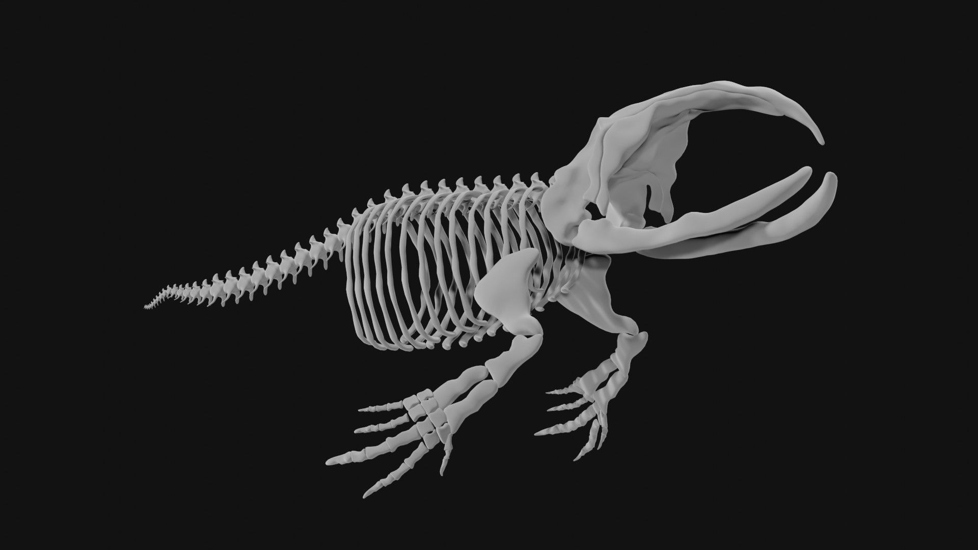 Bowhead Whale Skeleton 3D model_2