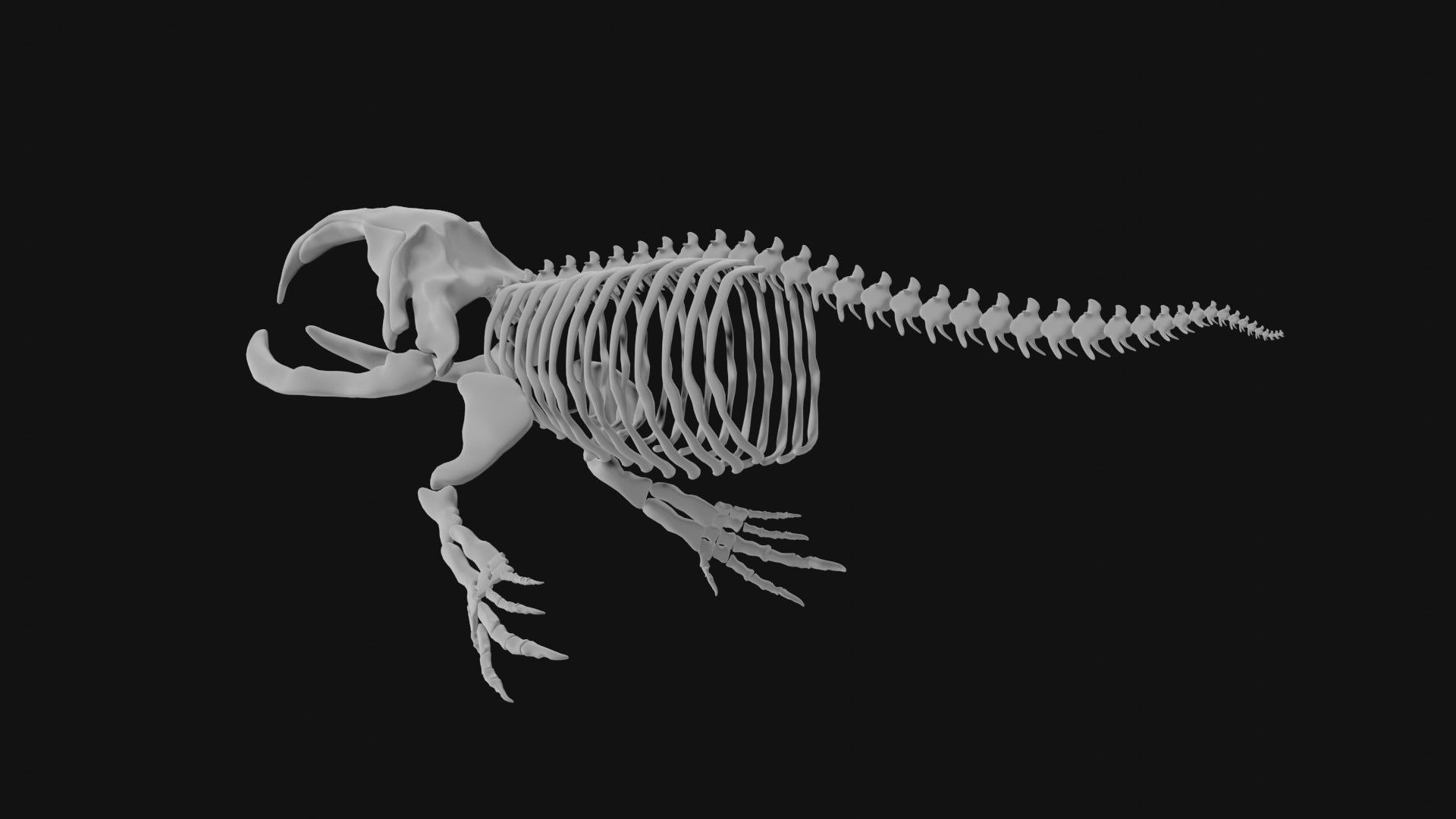 Bowhead Whale Skeleton 3D model_6