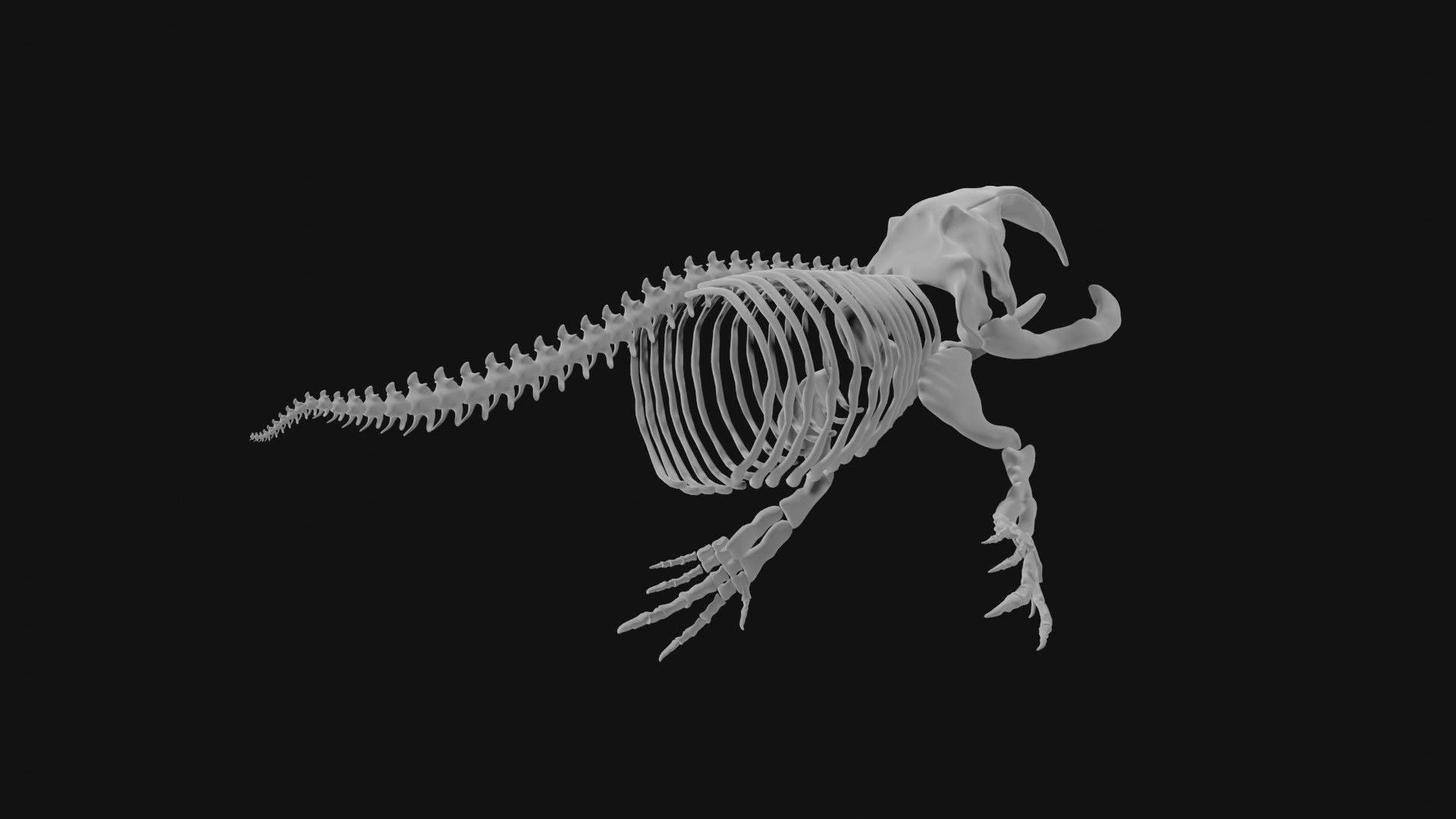 Bowhead Whale Skeleton 3D model_3