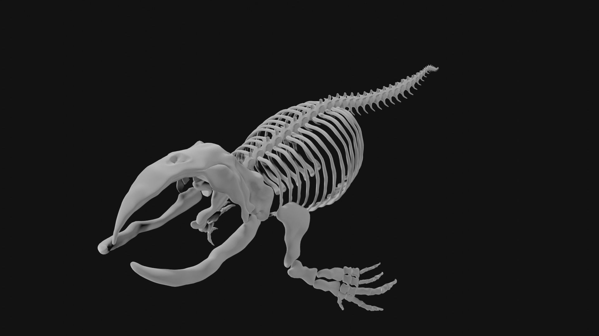 Bowhead Whale Skeleton 3D model_5