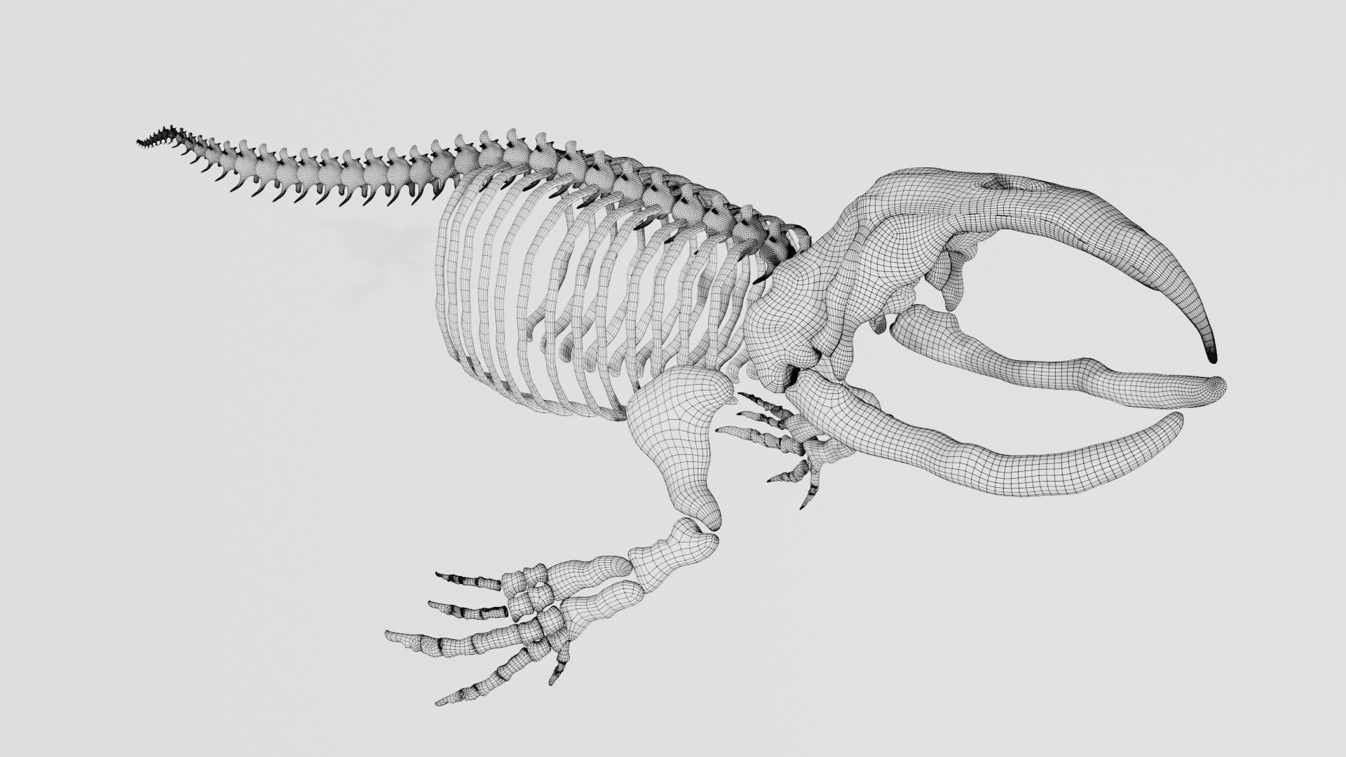 Bowhead Whale Skeleton 3D model_7