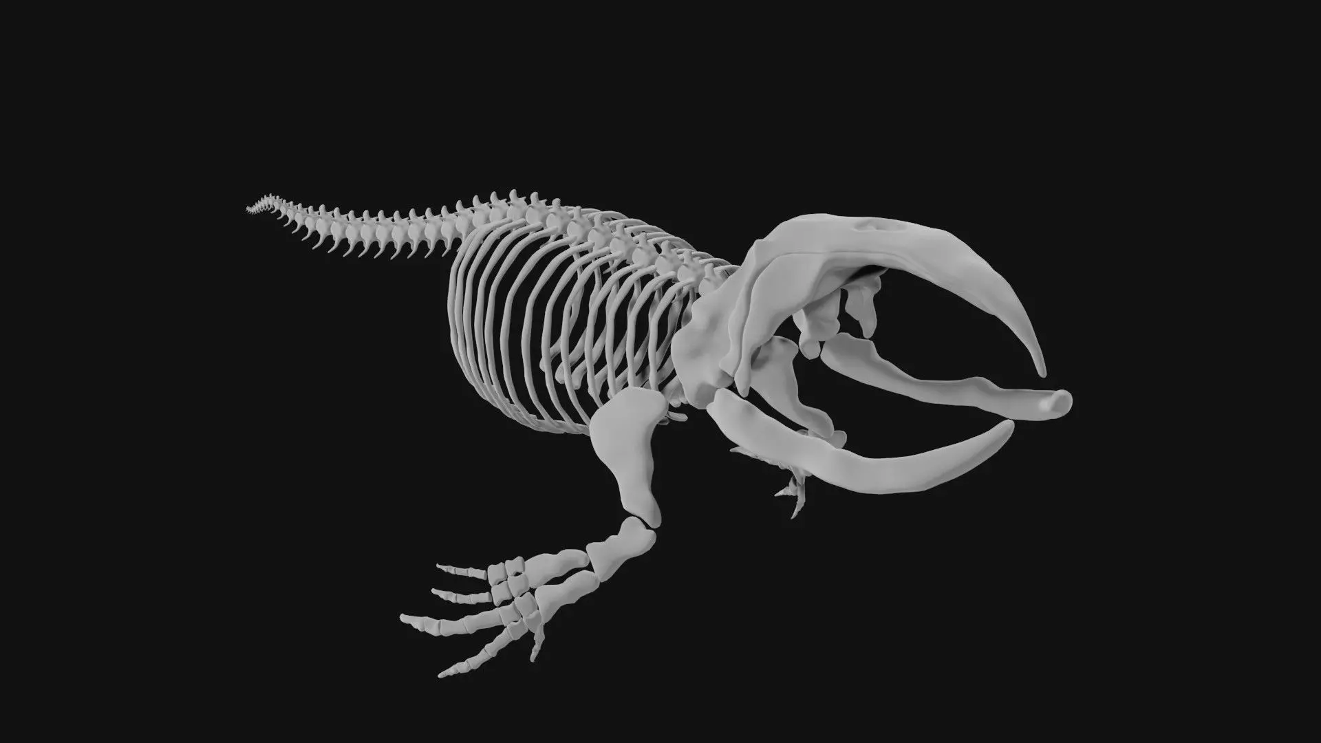 Bowhead Whale Skeleton 3D model_0