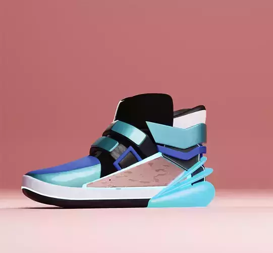 Futuristic Shoe