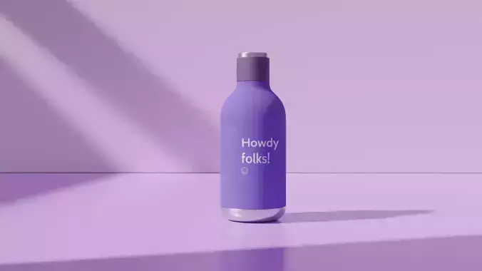 Stainless Steel Water Bottle