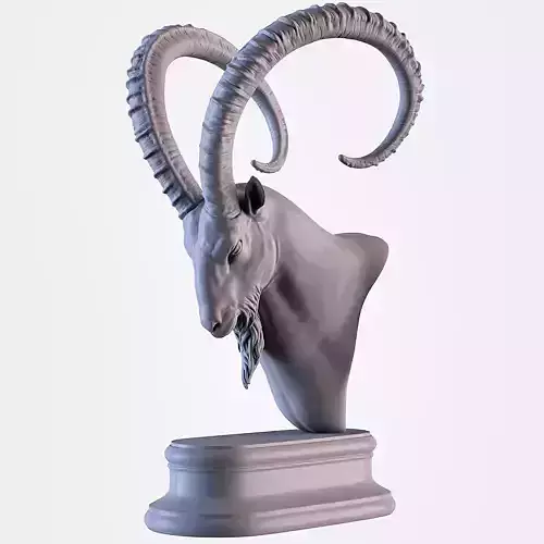 Ibex Head  3D print model