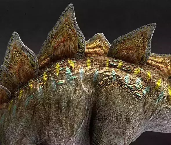 Stegosaurus Low-poly 3D model