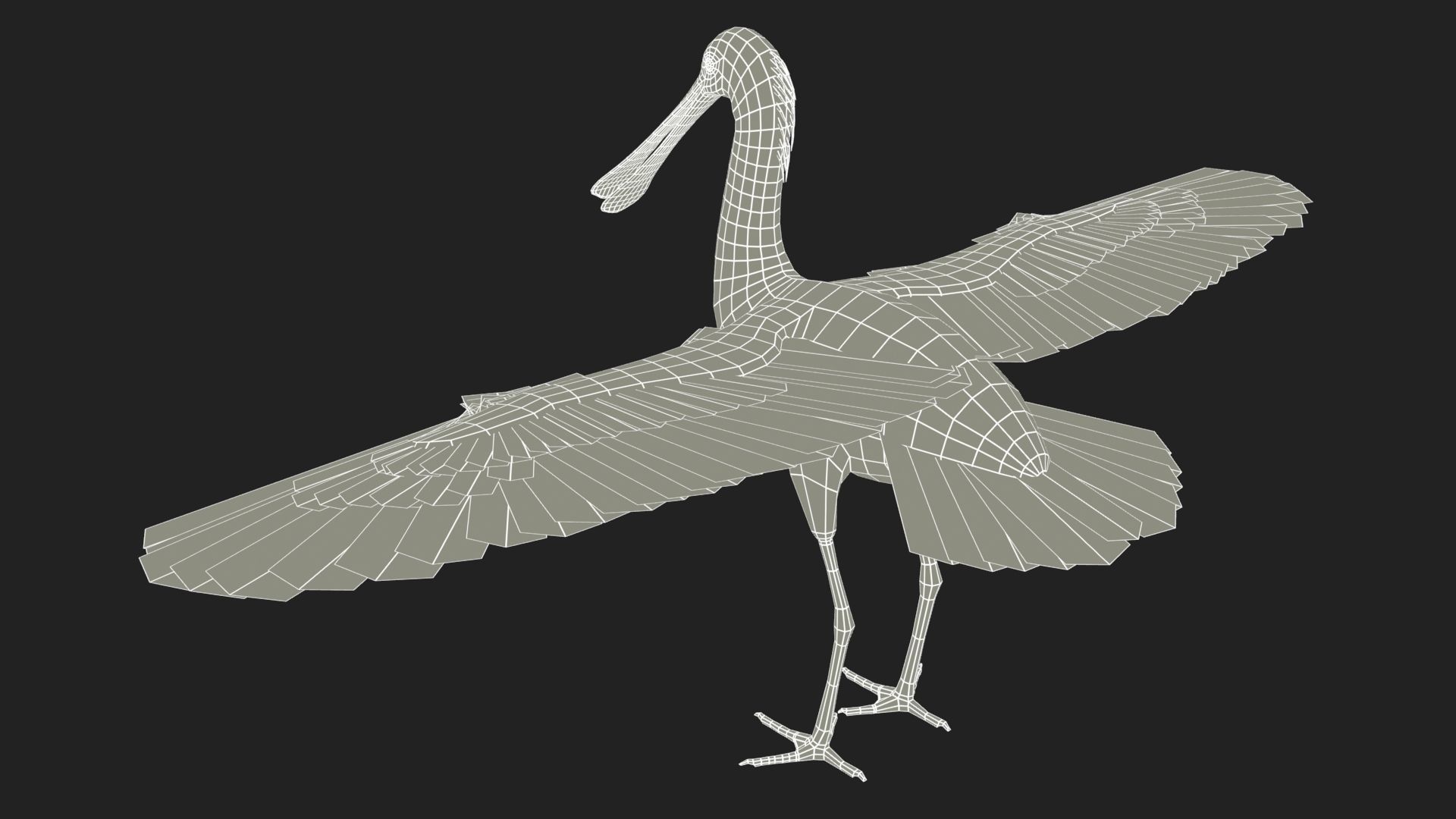 Roseate Spoonbill Low-poly 3D model_10