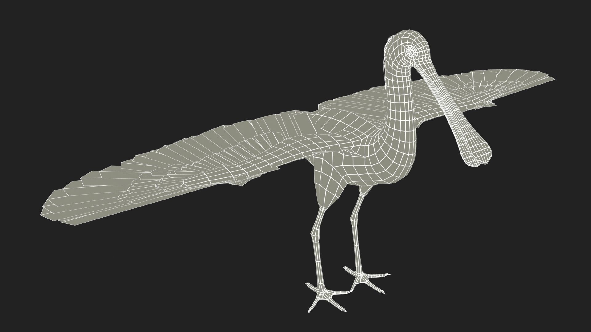 Roseate Spoonbill Low-poly 3D model_11