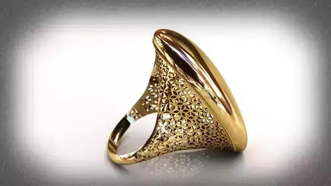 Curved fusion ring code 1001 3D print model
