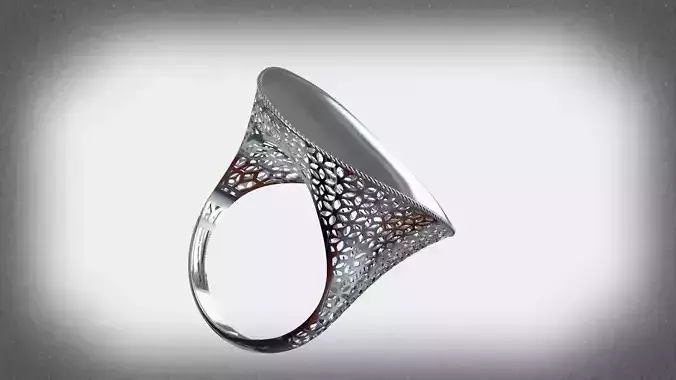 Curved fusion ring code 1003 3D print model