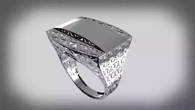 Rectangular fusion ring code 1009