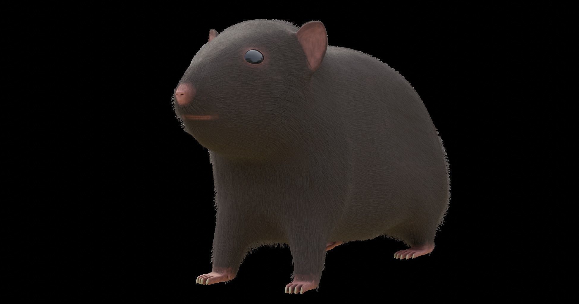 Hamster with Hair Cards and Fur Options Low-poly 3D model_59