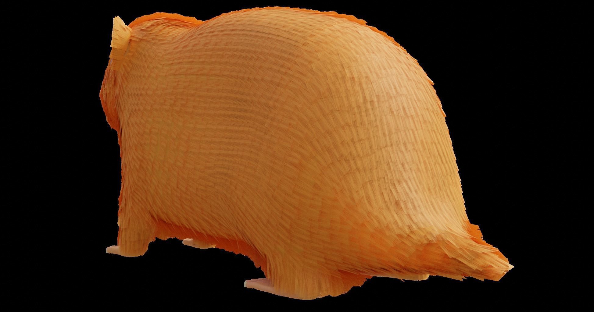 Hamster with Hair Cards and Fur Options Low-poly 3D model_62