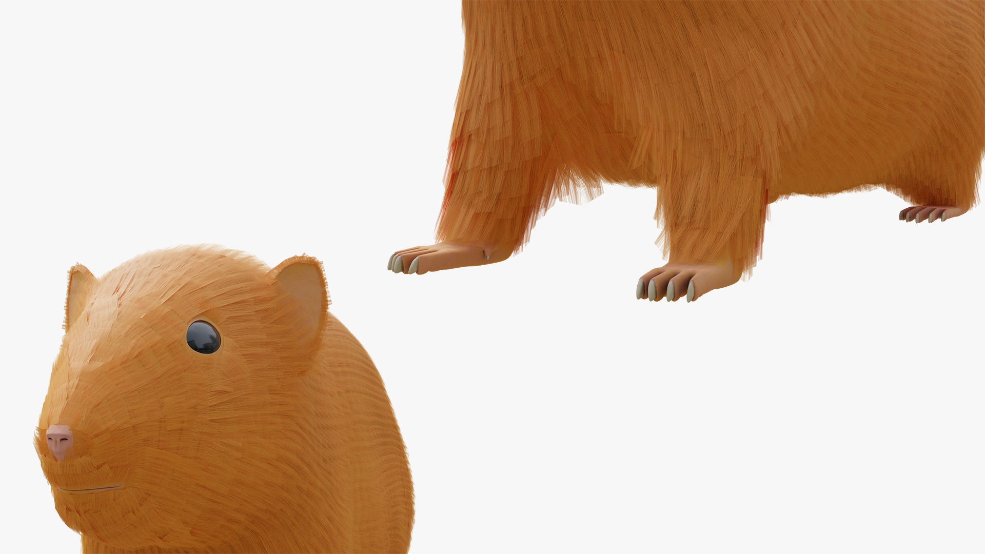 Hamster with Hair Cards and Fur Options Low-poly 3D model_12