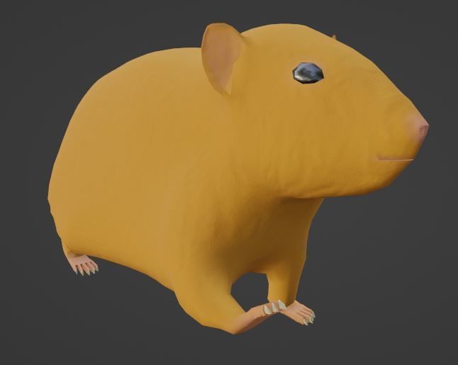 Hamster with Hair Cards and Fur Options Low-poly 3D model_36