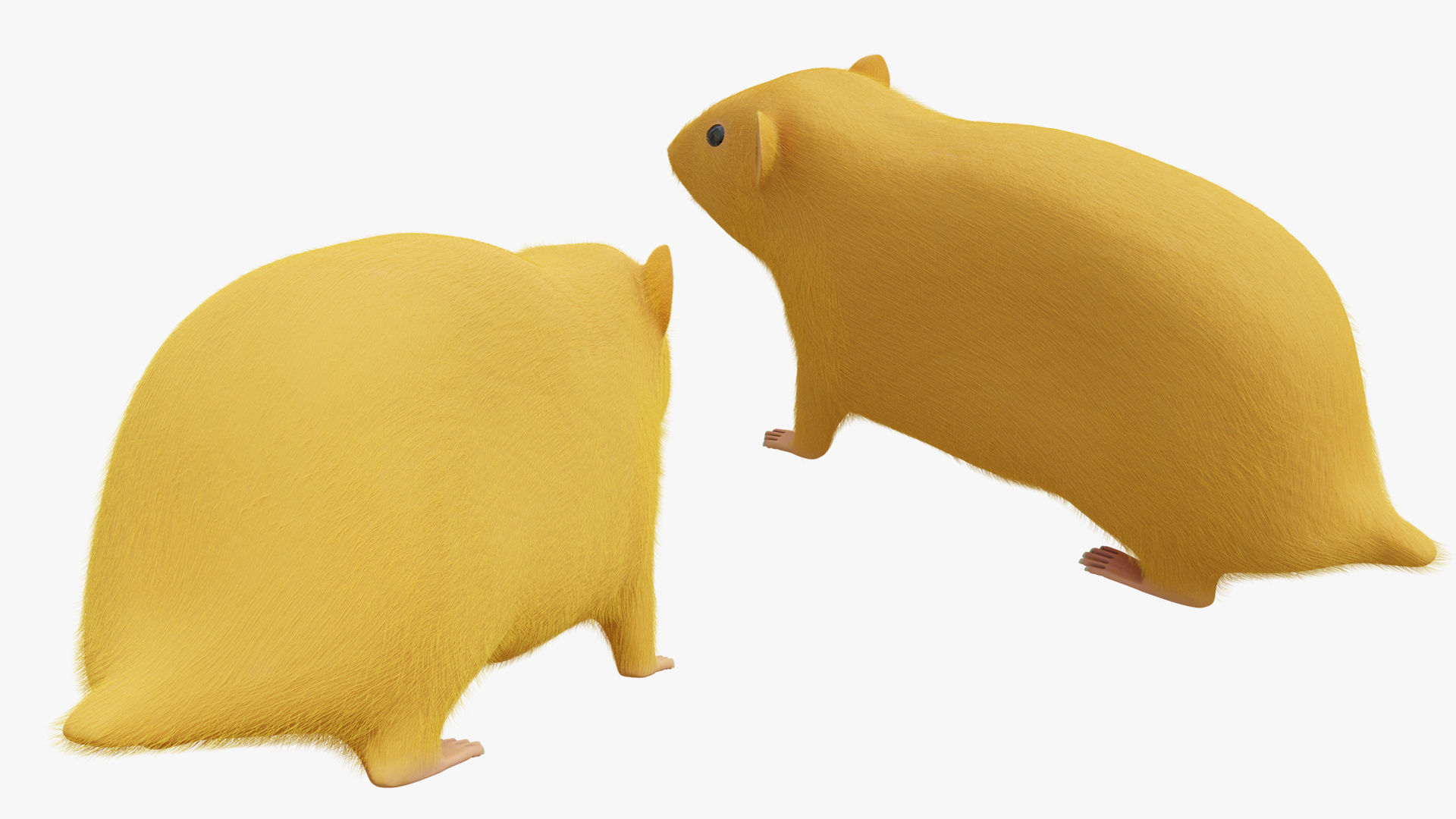 Hamster with Hair Cards and Fur Options Low-poly 3D model_9