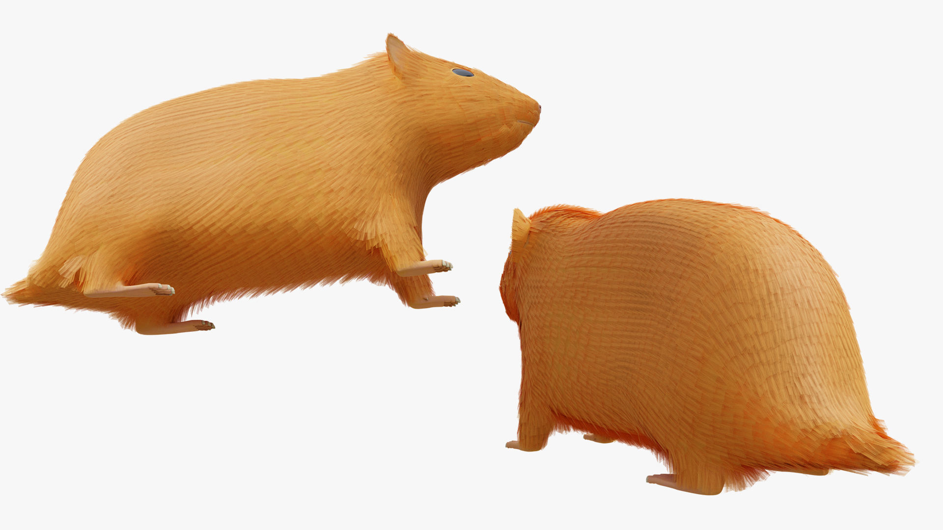 Hamster with Hair Cards and Fur Options Low-poly 3D model_10