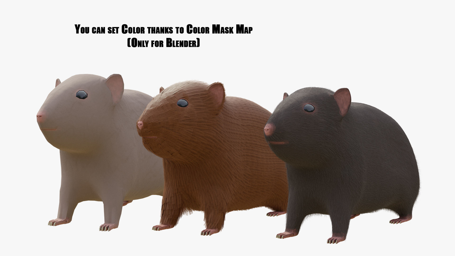 Hamster with Hair Cards and Fur Options Low-poly 3D model_3