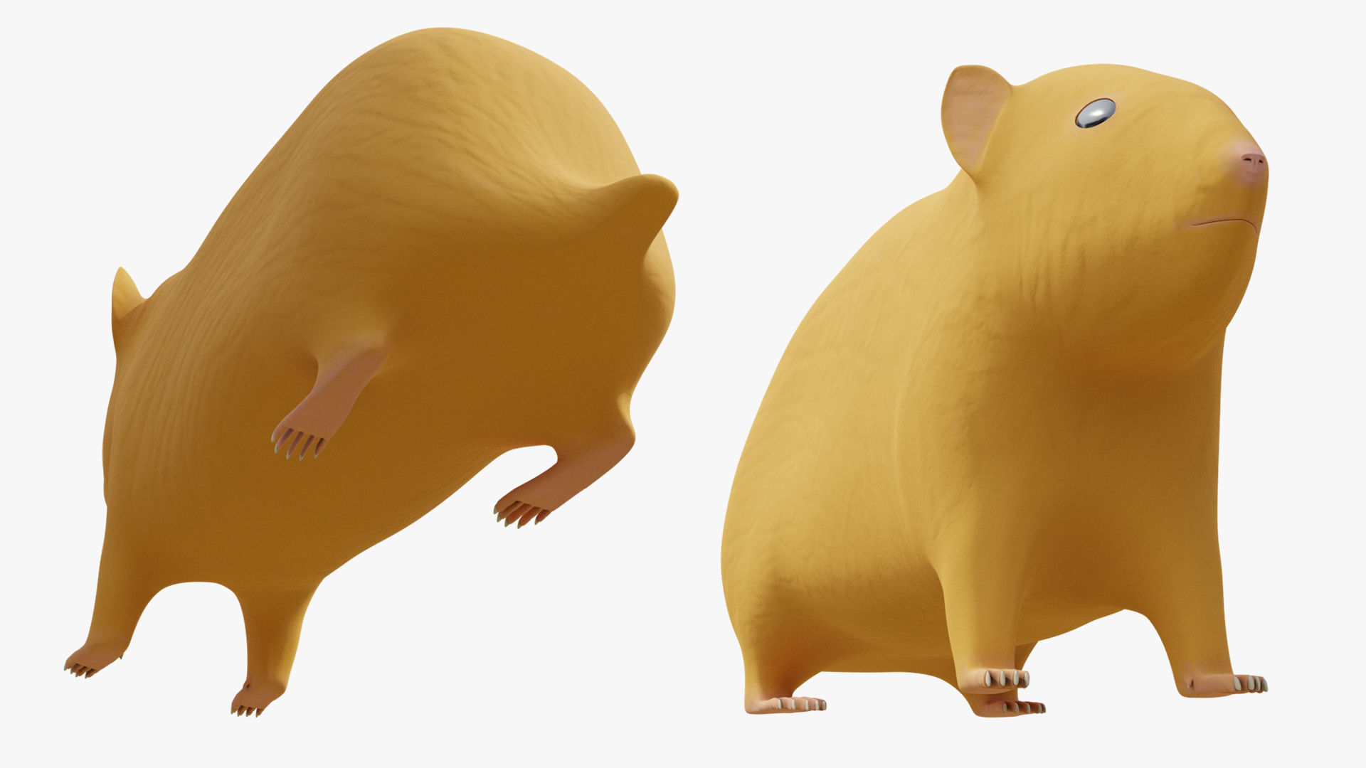 Hamster with Hair Cards and Fur Options Low-poly 3D model_13