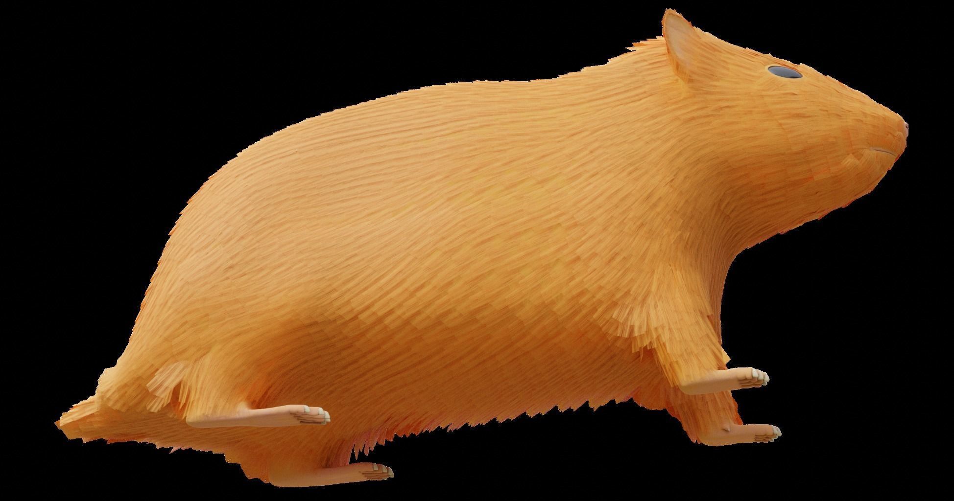 Hamster with Hair Cards and Fur Options Low-poly 3D model_65
