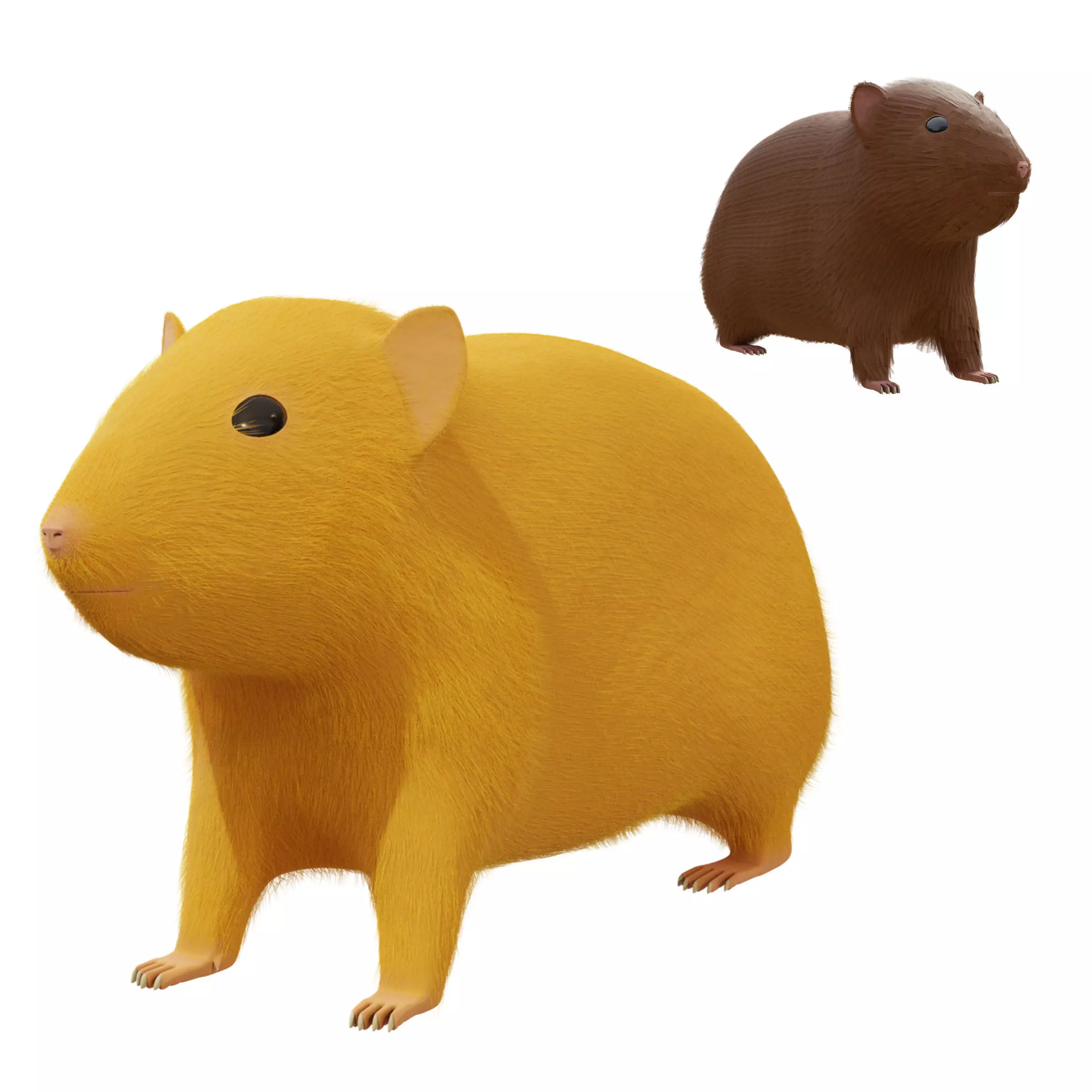 Hamster with Hair Cards and Fur Options Low-poly 3D model_0