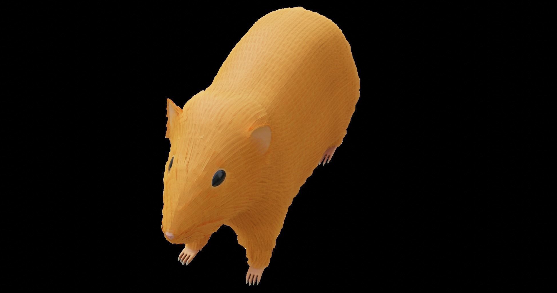 Hamster with Hair Cards and Fur Options Low-poly 3D model_48