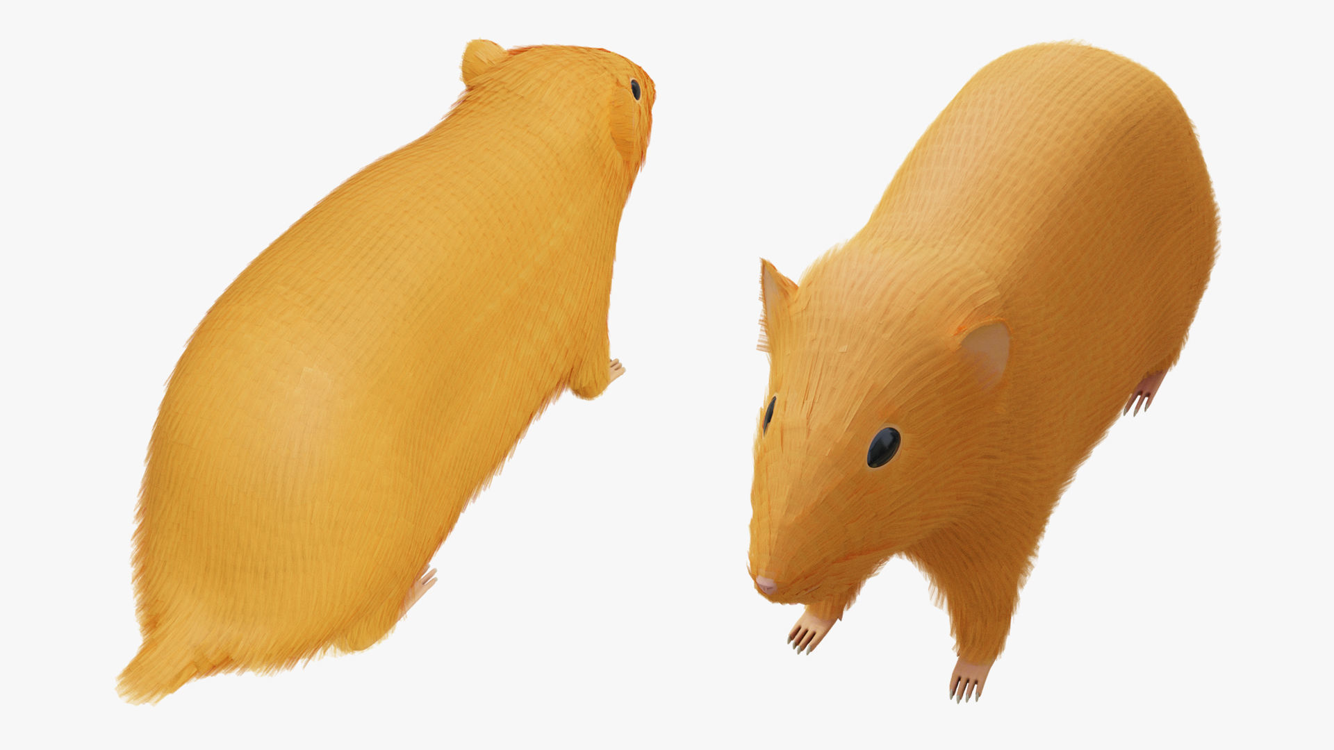 Hamster with Hair Cards and Fur Options Low-poly 3D model_11