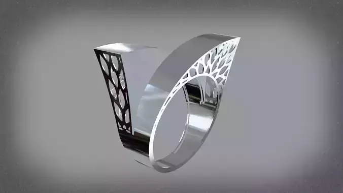 Fusion ring 2 pieces code 1011 3D print model