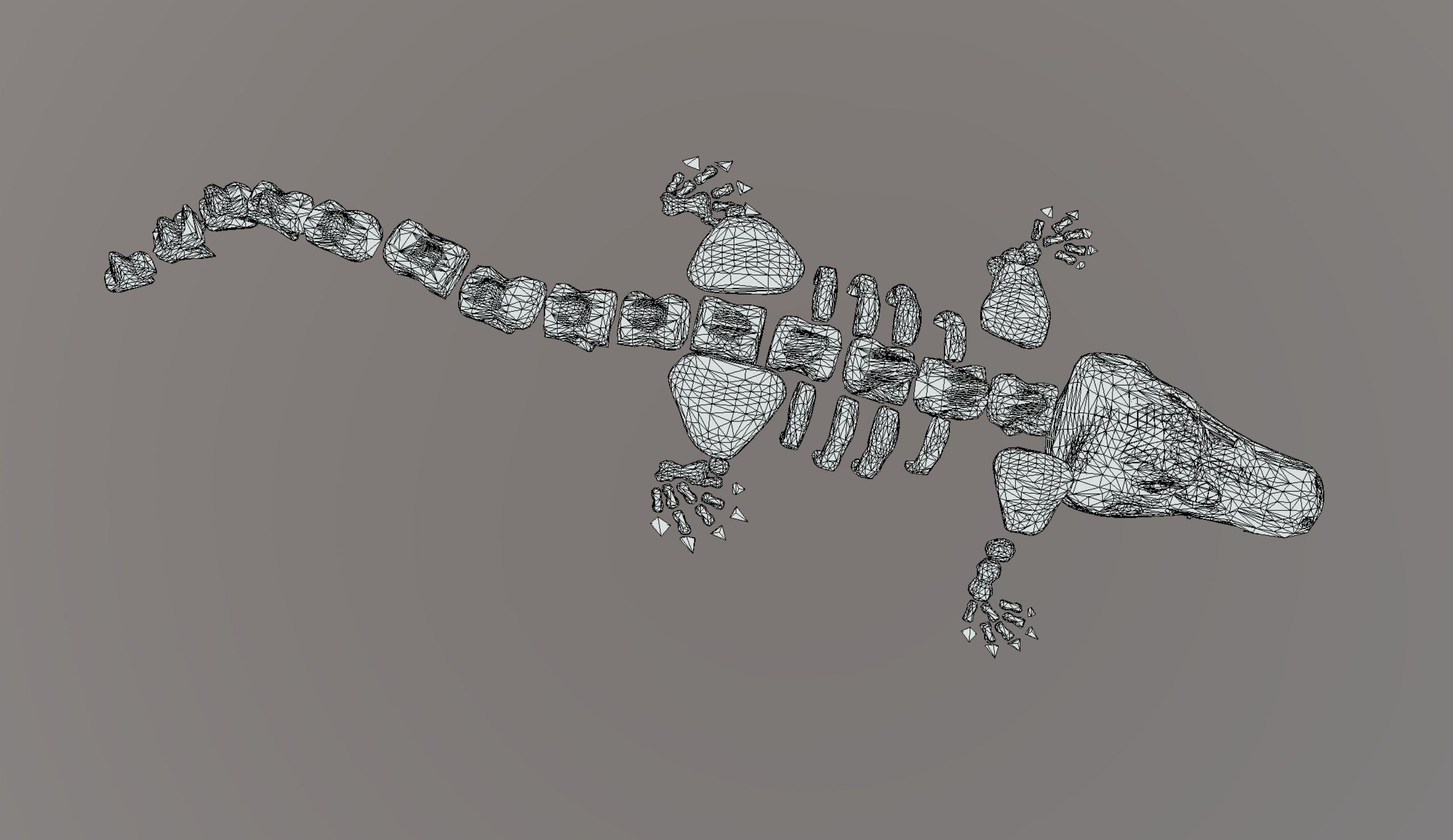 Crocodile Skeleton Low-poly 3D model_7