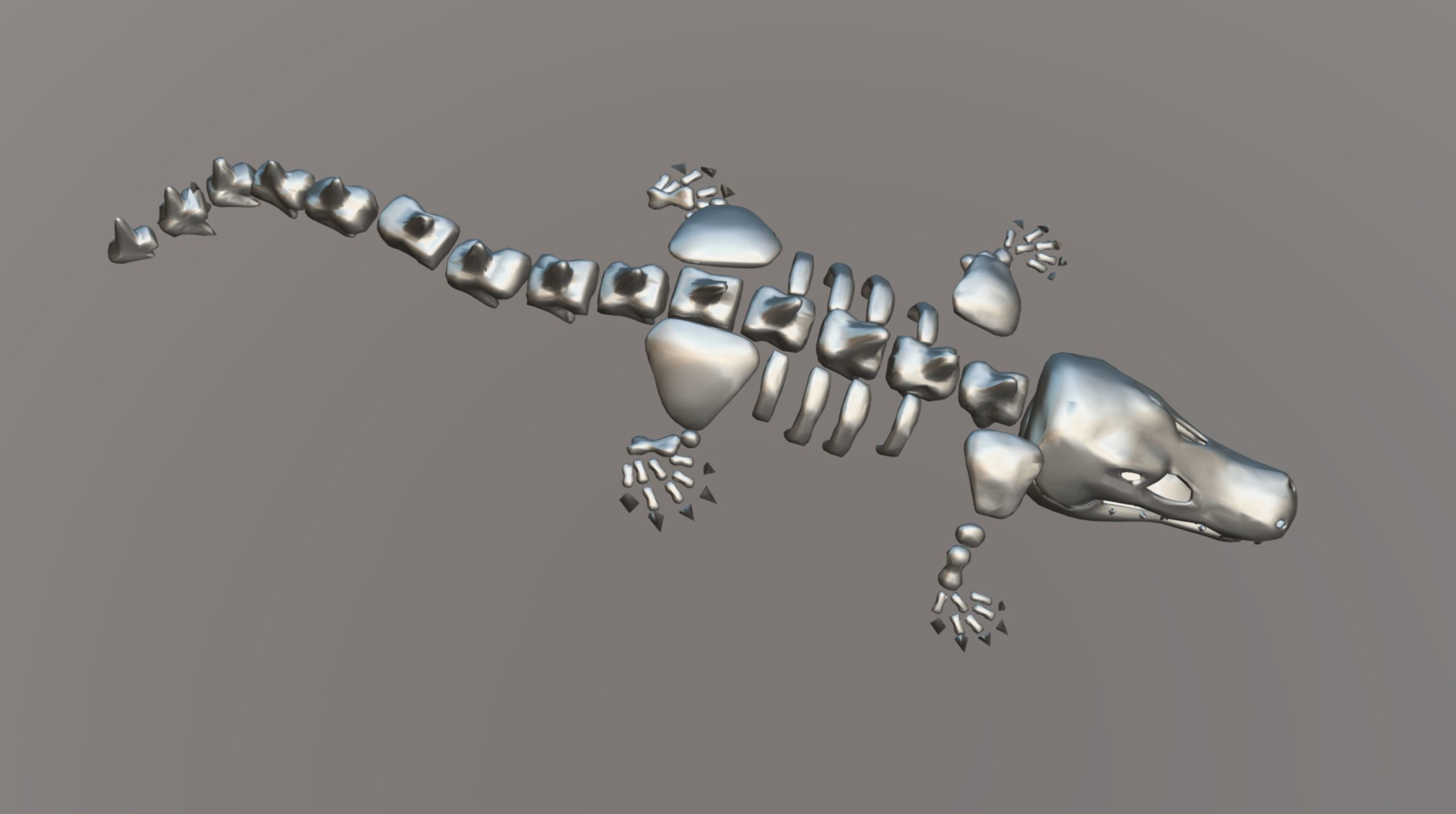 Crocodile Skeleton Low-poly 3D model_8