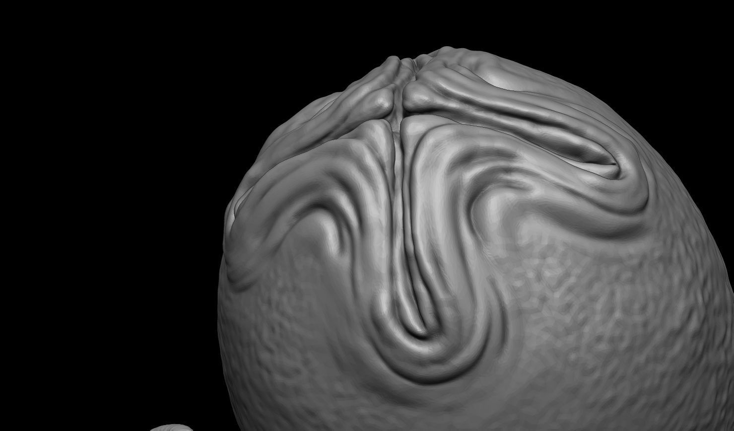 3D PRINTABLE ALIEN EGG OVOMORPH 1979 WITH ROOTS 3D print model_7