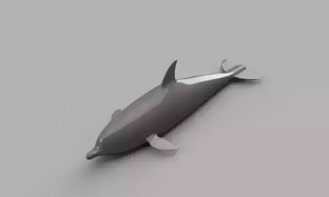 Dolphin 3D 3D print model