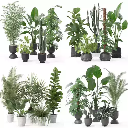 20 Photorealistic Flowers for Interiors - set 128 133 139 143 3D Model Collection
