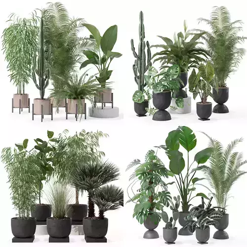 20 Photorealistic Flowers for Interiors - set 137 140 142 143 3D Model Collection