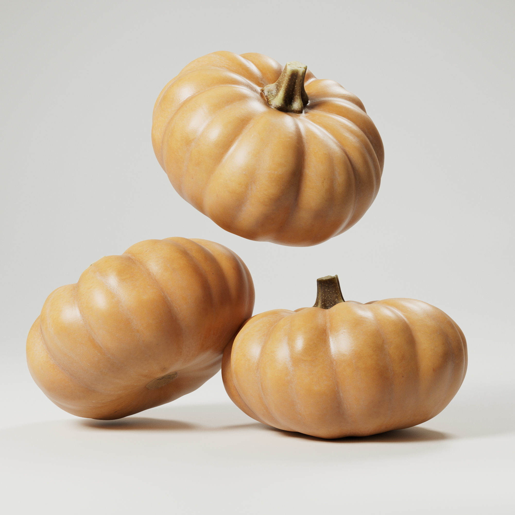 Pumpkin 3D model_6