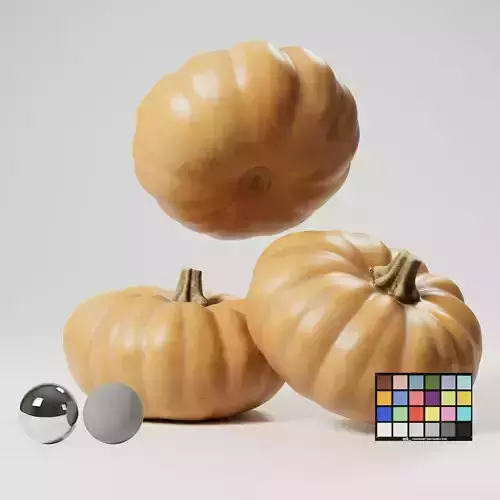 Pumpkin 3D model
