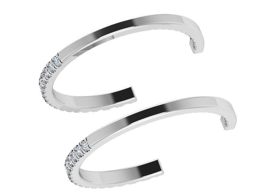 Brightend earrings 2866 3D print model 3D print model_3