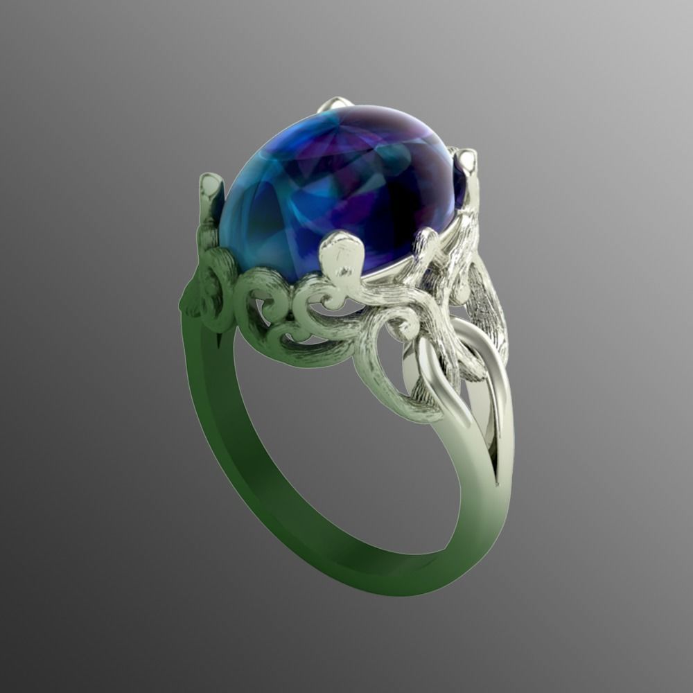 Ring sp1 3D print model_1