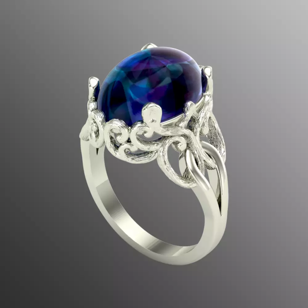 Ring sp1 3D print model_0