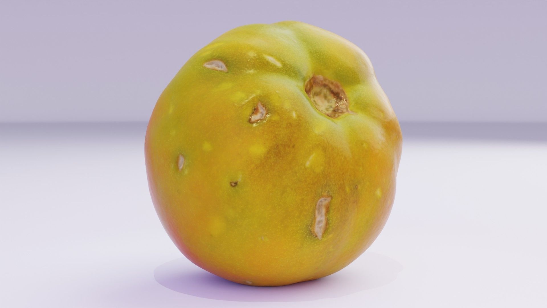 Tomato 03 high-poly 3D model_12