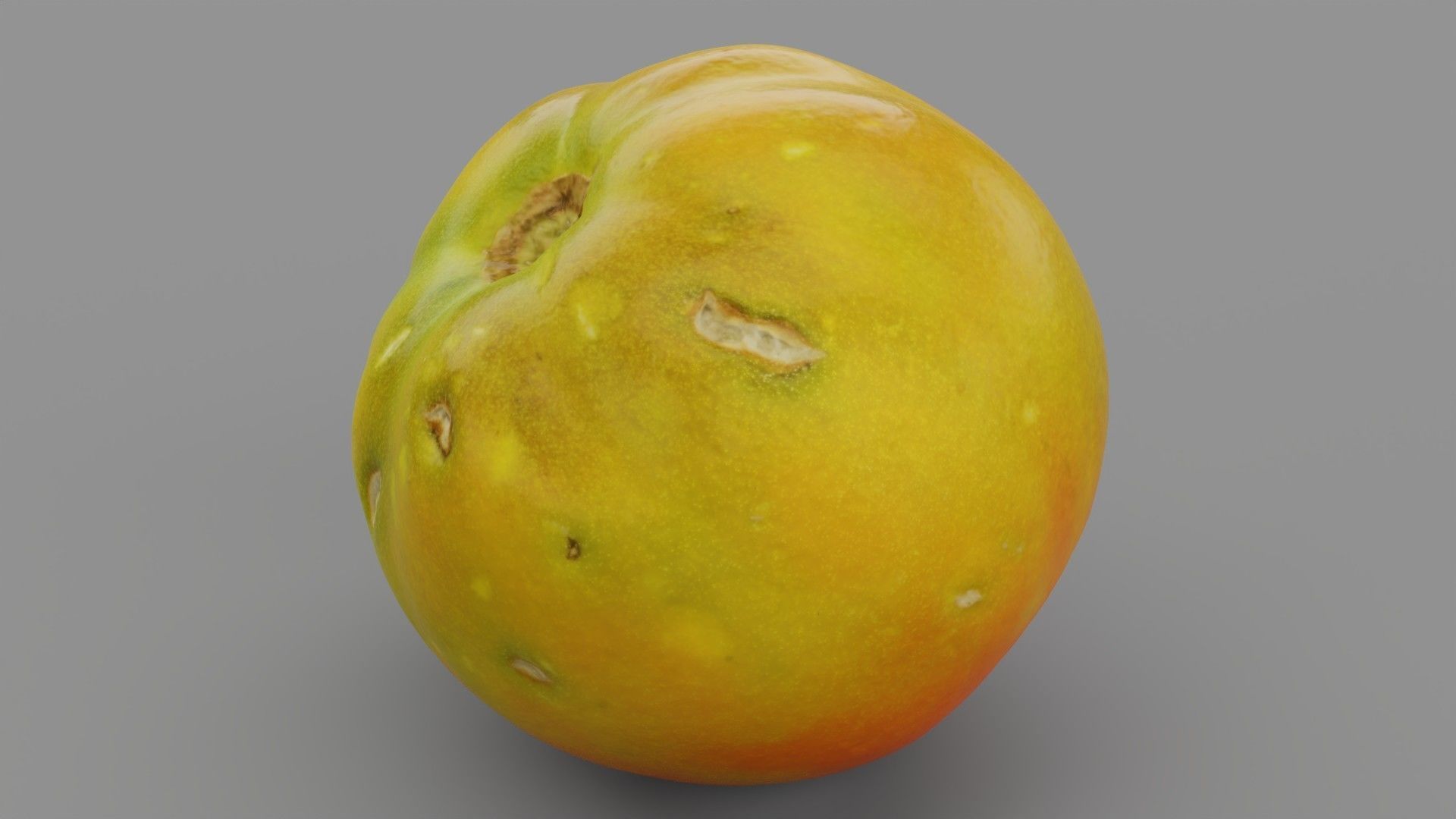 Tomato 03 high-poly 3D model_28