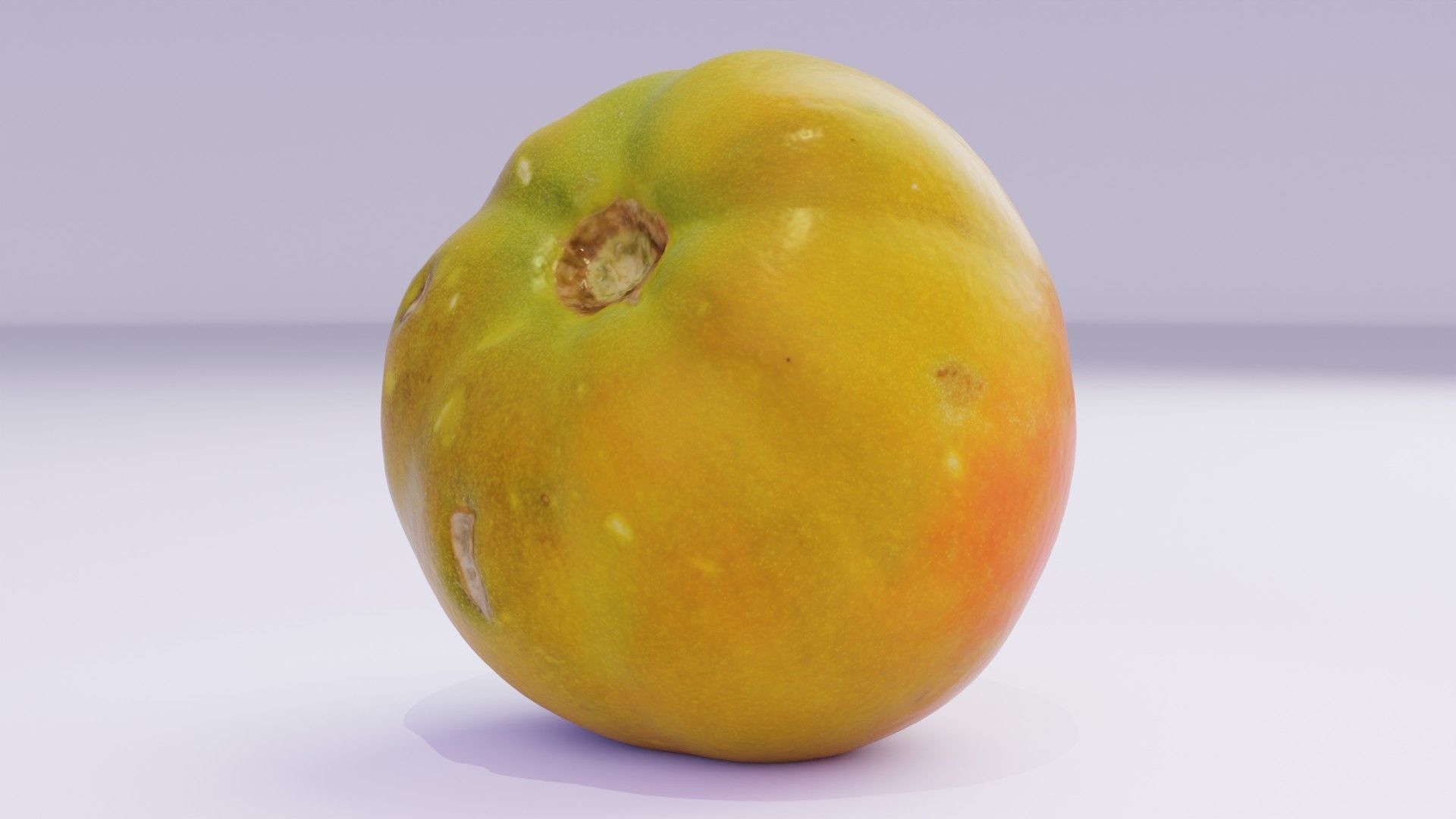 Tomato 03 high-poly 3D model_20