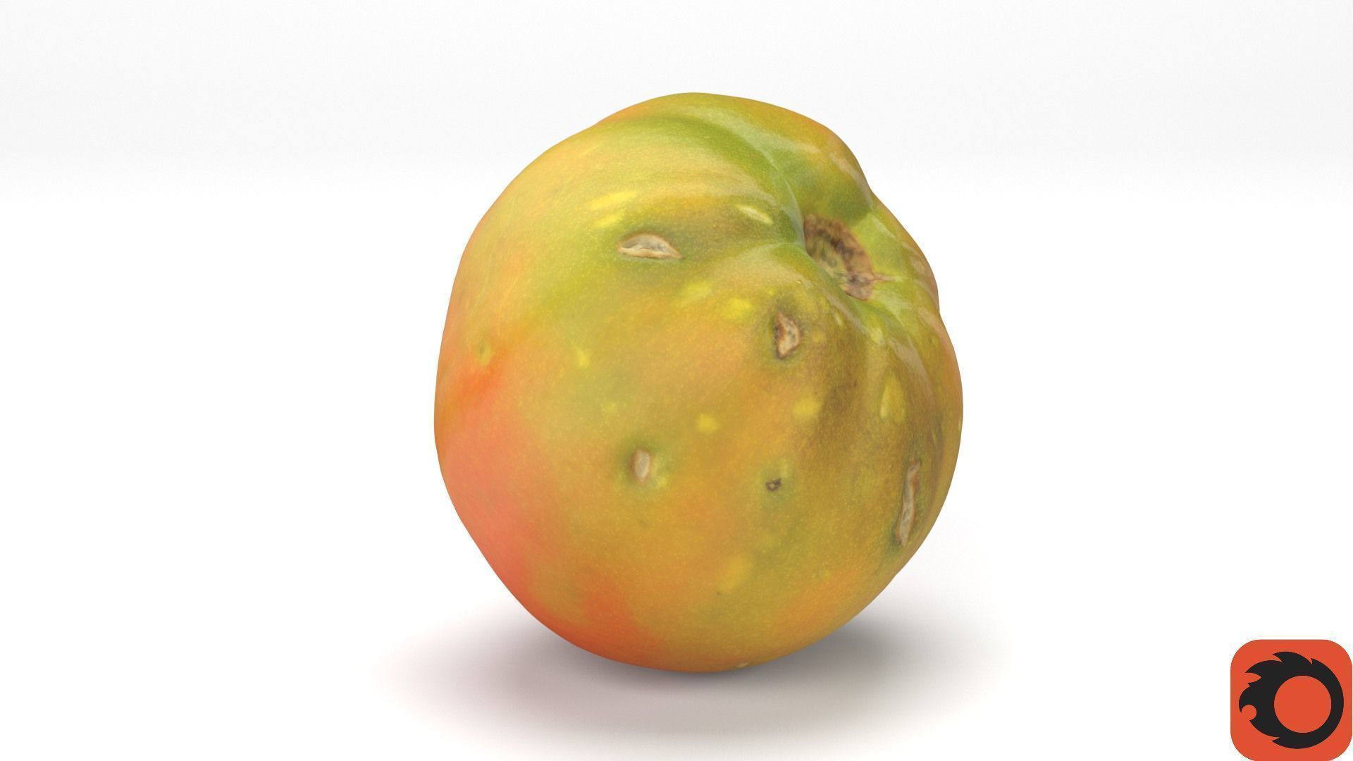 Tomato 03 high-poly 3D model_31