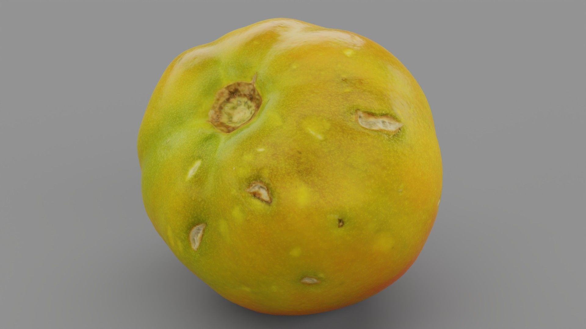 Tomato 03 high-poly 3D model_29