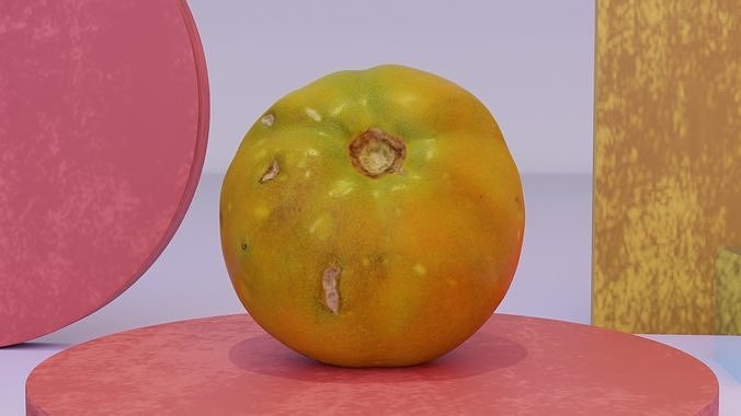 Tomato 03 high-poly 3D model 2