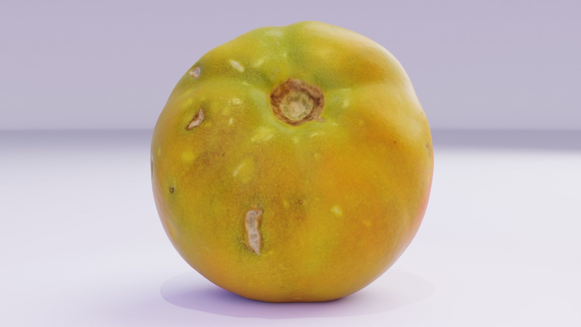 Tomato 03 high-poly 3D model_11