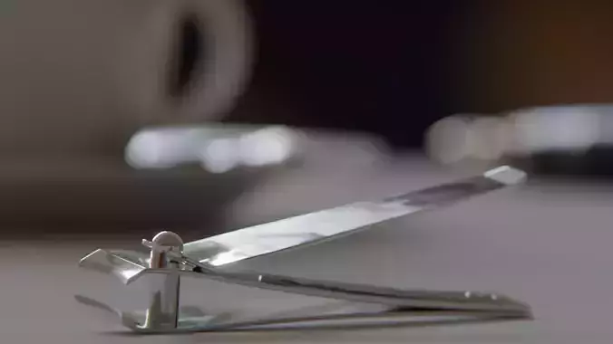 Nail Clippers 3D model
